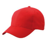 Brushed 6-Panel Cap
