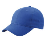 Brushed 6-Panel Cap