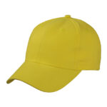 Brushed 6-Panel Cap
