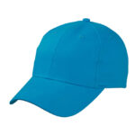 Brushed 6-Panel Cap