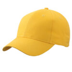 Brushed 6-Panel Cap