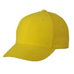 6-Panel Raver Cap Laminated