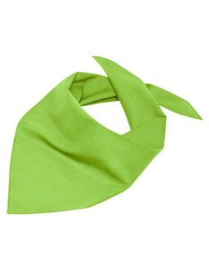 Triangular Scarf