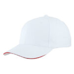 Light Brushed Sandwich Cap