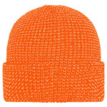 Reflective Winter Beanie