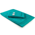 Guest Towel Excellent Deluxe