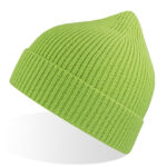 Andy Beanie