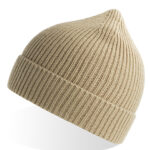 Andy Beanie