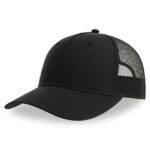 Zion Cap