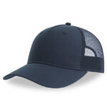 Zion Cap