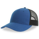 Zion Cap