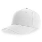 Fiji Cap