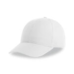 Recy Six Cap