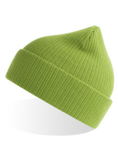 Nelson Beanie