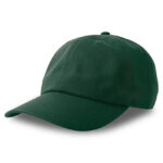Dad Hat-S