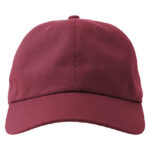 Dad Hat-S