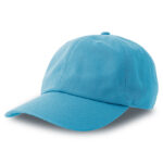 Dad Hat-S