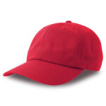Dad Hat-S