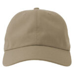 Dad Hat-S