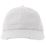 Dad Hat Destroyed-S