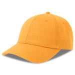Hit-S Cap