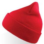 Wind Beanie