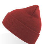 Eko Beanie