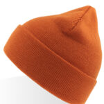 Eko Beanie
