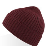 Viral Beanie