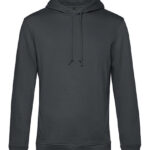Inspire Hooded Sweat_°