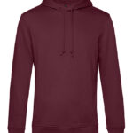 Inspire Hooded Sweat_°