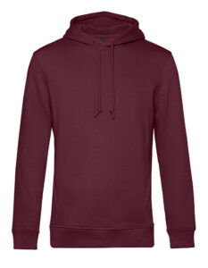 Inspire Hooded Sweat_°