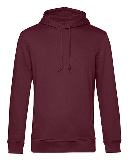 Inspire Hooded Sweat_°