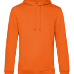 Inspire Hooded Sweat_°