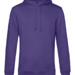Inspire Hooded Sweat_°