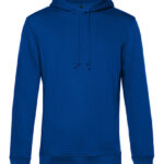 Inspire Hooded Sweat_°