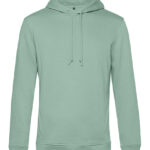 Inspire Hooded Sweat_°