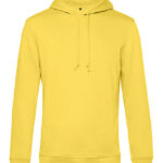 Inspire Hooded Sweat_°