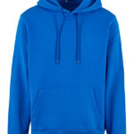 Basic Hoody