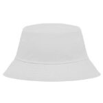 Bobhat