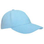 Heavy Brushed Cap