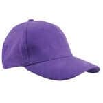 Heavy Brushed Cap