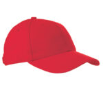 Heavy Brushed Cap