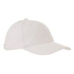 Heavy Brushed Cap