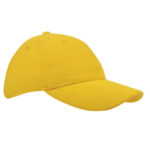 Heavy Brushed Cap