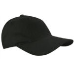 Brushed Promo Cap