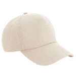 Authentic 5 Panel Cap