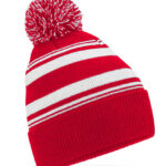 Striped Fan Beanie