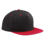 5 Panel Contrast Snapback