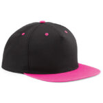 5 Panel Contrast Snapback